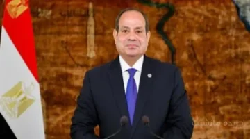 رسالة مباشرة لواشنطن.. الرئيس السيسي يشدد على ضرورة الحفاظ على منظومة السلام 1